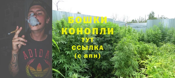 стафф Богородск