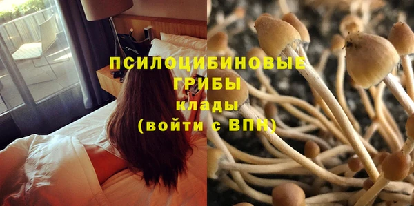 стафф Богородск