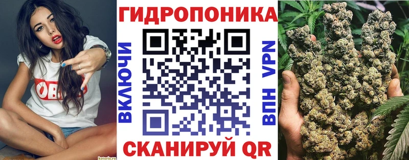 где можно купить   Новосиль  Канабис сатива 